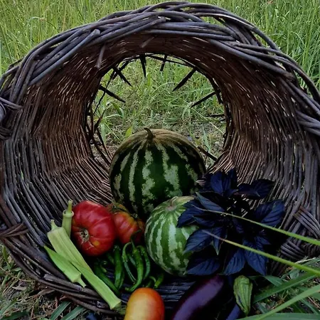 Bed & Breakfast Agroecology And Gastronomy *