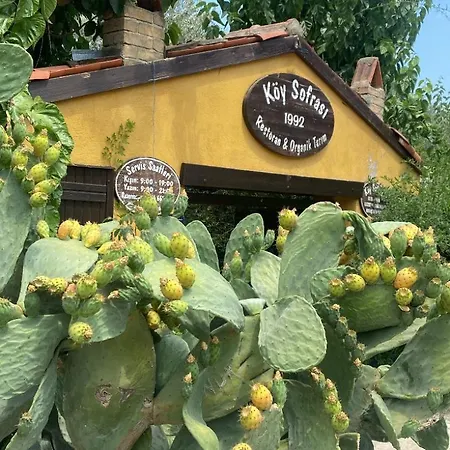 Agroecology And Gastronomy
