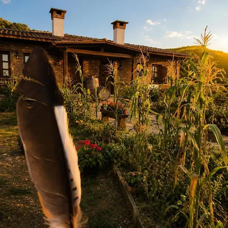 Agroecology And Gastronomy * Kusadası