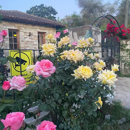 Agroecology And Gastronomy Bed & Breakfast