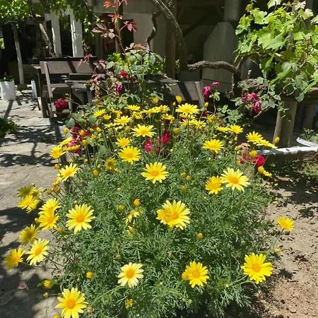 Agroecology And Gastronomy Bed & Breakfast Kusadası