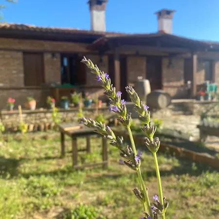 Bed & Breakfast Agroecology And Gastronomy *