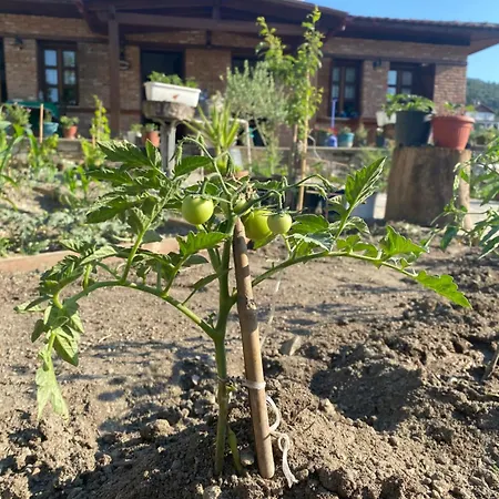 Agroecology And Gastronomy Bed & Breakfast