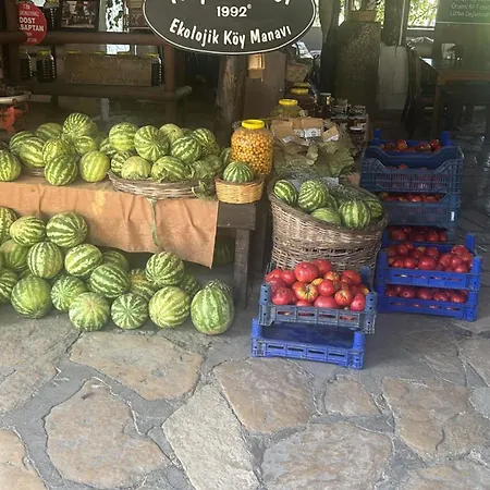 Bed & Breakfast Agroecology And Gastronomy